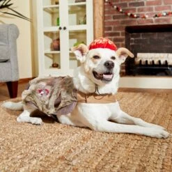 Frisco Zombie Dog & Cat Costume 13 Frisco Zombie Dog & Cat Costume -Dog Supplies 215624 PT8. AC SS1800 V1599226580