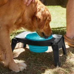 Frisco Elevated Collapsible Travel Bowl -Dog Supplies 216013 PT7. AC SS1800 V1605653830