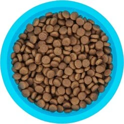 Frisco Plastic Suction Bowl, Blue -Dog Supplies 216037 PT4. AC SS1800 V1591020655