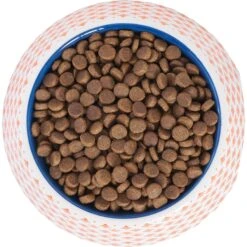 Frisco Southwest Melamine Bowl 13 Frisco Southwest Melamine Bowl -Dog Supplies 216064 PT4. AC SS1800 V1591021009