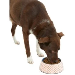 Frisco Southwest Melamine Bowl 14 Frisco Southwest Melamine Bowl -Dog Supplies 216064 PT6. AC SS1800 V1605652321