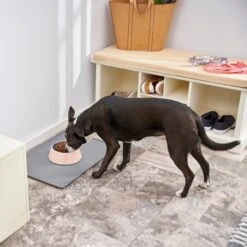 Frisco Southwest Melamine Bowl 15 Frisco Southwest Melamine Bowl -Dog Supplies 216064 PT7. AC SS1800 V1605653262