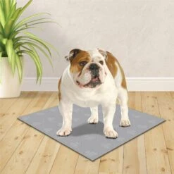 Wee-Wee Premium Patch Washable Dog Pee Pad -Dog Supplies 216078 PT3. AC SS1800 V1578325725
