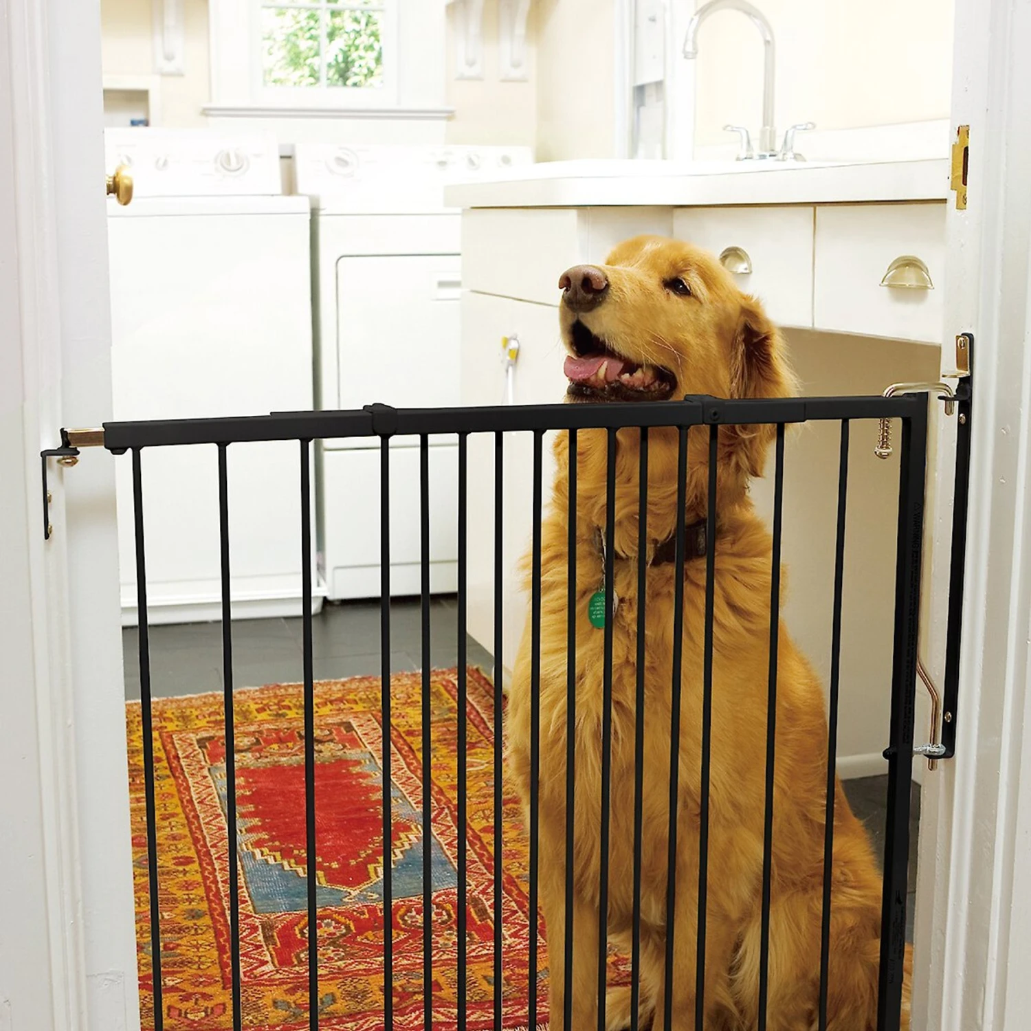 Cardinal Gates Duragate Dog Gate 3 Cardinal Gates Duragate Dog Gate