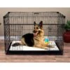 Lucky Dog Sliding Double Door Wire Dog Crate 1 Lucky Dog Sliding Double Door Wire Dog Crate -Dog Supplies 217625 MAIN. AC SS1800 V1580827476