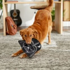 STAR WARS DARTH VADER Flat Plush Squeaky Dog Toy -Dog Supplies 220653 PT3. AC SS1800 V1615586195