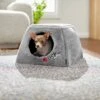 Disney Pluto Covered Cat & Dog Bed 2 Disney Pluto Covered Cat & Dog Bed -Dog Supplies 222211 MAIN. AC SS1800 V1611757638