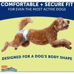 Hartz Disposable Male & Female Dog Diapers -Dog Supplies 222802 PT2. AC SS1800 V1649935917