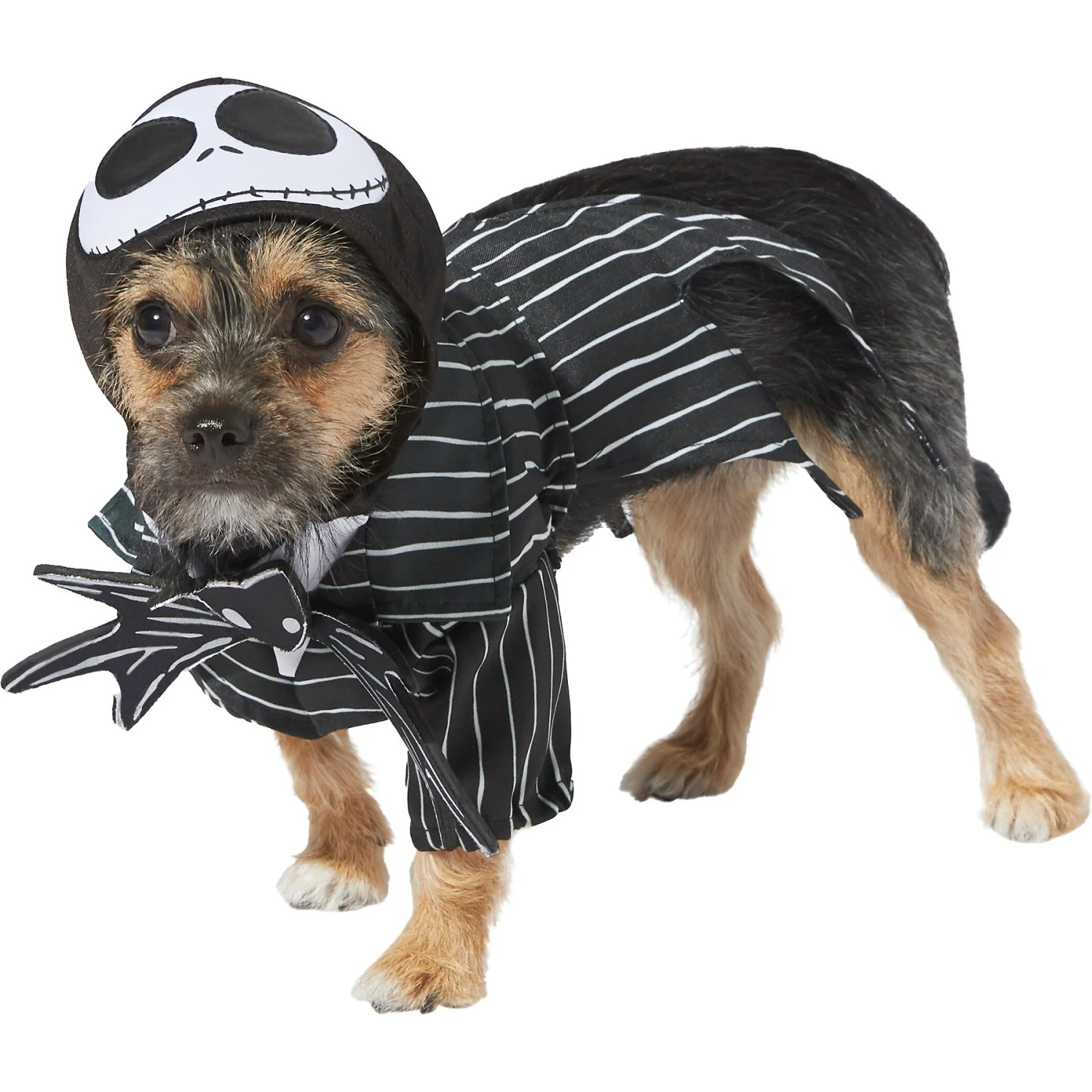 Rubie's Costume Company Jack Skellington Dog Costume 3 Rubie's Costume Company Jack Skellington Dog Costume