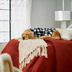 Wagatude Black Buffalo Plaid Dog Pajama 11 Wagatude Black Buffalo Plaid Dog Pajama -Dog Supplies 228071 PT4. AC SS1800 V1637645494