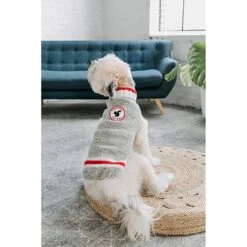 Chilly Dog Squirrel Patrol Wool Dog Sweater -Dog Supplies 228340 PT3. AC SS1800 V1595887896