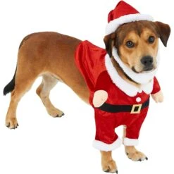 Frisco Front Walking Santa Dog & Cat Costume, 1 Count 11 Frisco Front Walking Santa Dog & Cat Costume, 1 Count -Dog Supplies 228785 PT3. AC SS1800 V1631300866