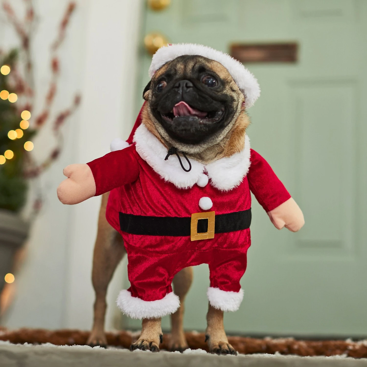 Frisco Front Walking Santa Dog & Cat Costume, 1 Count 8 Frisco Front Walking Santa Dog & Cat Costume, 1 Count - Image 6