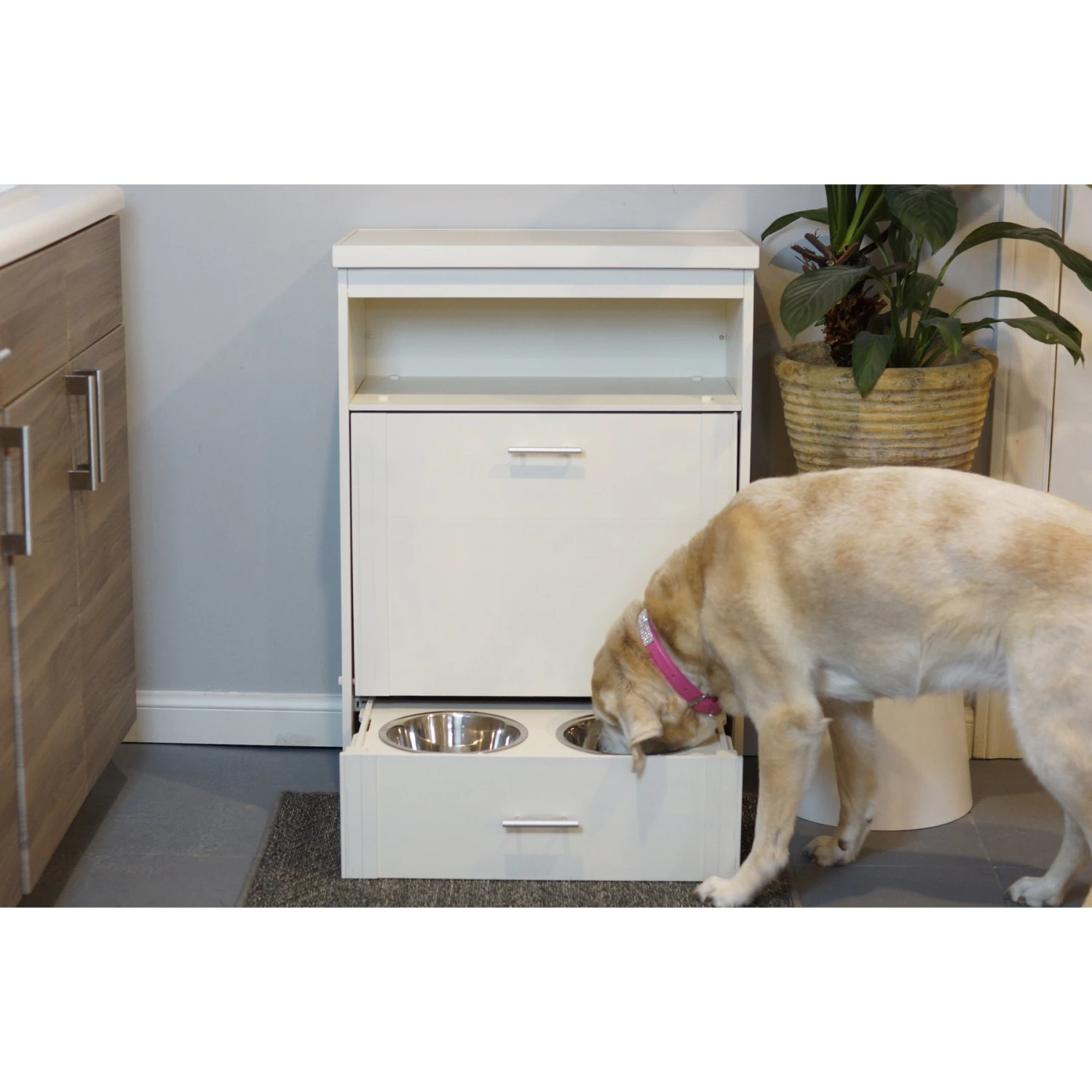 New Age Pet Dog Food Pantry W/ Double Bowl 4 New Age Pet Dog Food Pantry W/ Double Bowl - Image 2