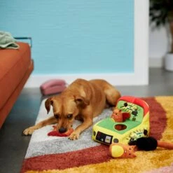 Frisco Retro Smack-a-Squirrel Hide & Seek Puzzle Plush Squeaky Dog Toy -Dog Supplies 230313 PT3. AC SS1800 V1601947334