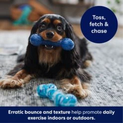 Frisco Retro Denim & Swirl TPR Bone Squeaky Dog Toy -Dog Supplies 230341 PT4. AC SS1800 V1695748896