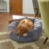 Frisco Velvet Round Bolster Dog Bed W/Removable Cover -Dog Supplies 232178 MAIN. AC SS1800 V1602013291