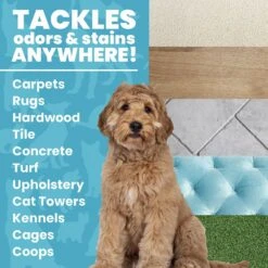 Unique Pet Care Ready To Use Pet Odor & Stain Eliminator, 24-oz Bottle -Dog Supplies 232906 PT2. AC SS1800 V1643913383