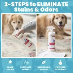 Unique Pet Care Ready To Use Pet Odor & Stain Eliminator, 24-oz Bottle -Dog Supplies 232906 PT3. AC SS1800 V1643914892