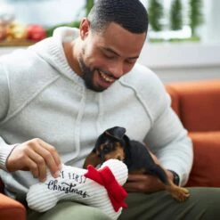 Frisco Holiday My First Christmas Bone Plush Squeaky Dog Toy -Dog Supplies 233166 PT2. AC SS1800 V1601304755