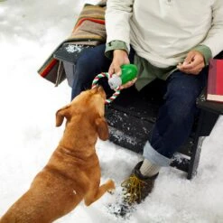 Frisco Holiday Christmas Light Rope With TPR Squeaky Dog Toy -Dog Supplies 233278 PT2. AC SS1800 V1601641574