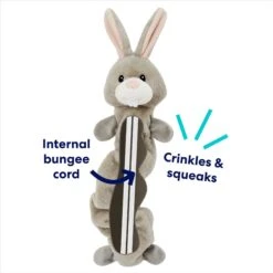 Frisco Bunny Bungee Plush Squeaky Dog Toy 10 Frisco Bunny Bungee Plush Squeaky Dog Toy -Dog Supplies 233612 PT2. AC SS1800 V1691784247
