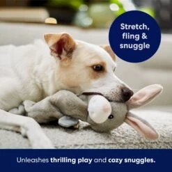 Frisco Bunny Bungee Plush Squeaky Dog Toy 12 Frisco Bunny Bungee Plush Squeaky Dog Toy -Dog Supplies 233612 PT5. AC SS1800 V1691783971
