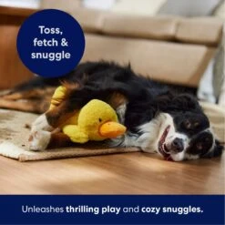 Frisco Duck Plush Squeaky Dog Toy -Dog Supplies 233613 PT4. AC SS1800 V1695670688