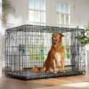 Frisco Heavy Duty Enhanced Lock Double Door Fold & Carry Wire Dog Crate & Mat Kit 2 Frisco Heavy Duty Enhanced Lock Double Door Fold & Carry Wire Dog Crate & Mat Kit -Dog Supplies 233736 MAIN. AC SS1800 V1667229247