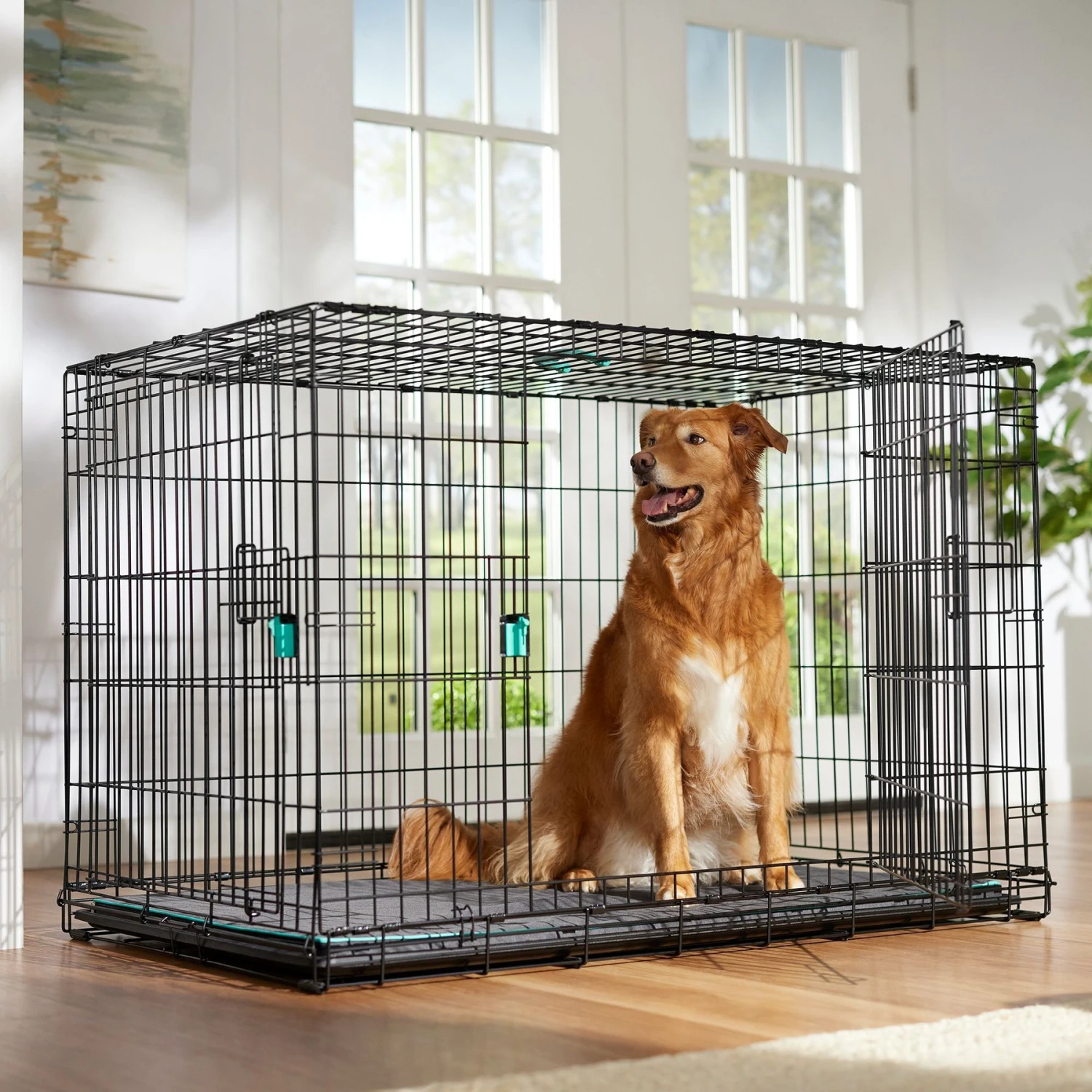 Frisco Heavy Duty Enhanced Lock Double Door Fold & Carry Wire Dog Crate & Mat Kit 3 Frisco Heavy Duty Enhanced Lock Double Door Fold & Carry Wire Dog Crate & Mat Kit