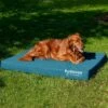 FurHaven Deluxe Oxford Cooling Gel Indoor/Outdoor Dog & Cat Bed With Removable Cover -Dog Supplies 238827 MAIN. AC SS1800 V1627609611