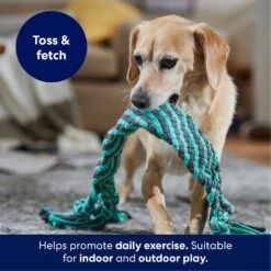 Frisco Flat Teal & Gray Braided Rope Squeaky Fetch Dog Toy 10 Frisco Flat Teal & Gray Braided Rope Squeaky Fetch Dog Toy -Dog Supplies 242127 PT3. AC SS1800 V1695242179