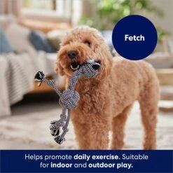 Frisco Zebra Rope Squeaky Dog Toy -Dog Supplies 242163 PT3. AC SS1800 V1691785245