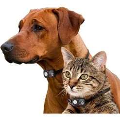 High Tech Pet Products SB-1 Sound Barrier Indoor Sonic Dog & Cat Fence System -Dog Supplies 242736 PT3. AC SS1800 V1594837906