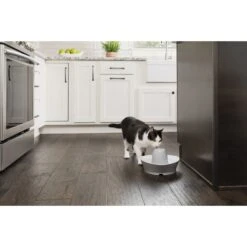 PetSafe Creekside Quiet Dog & Cat Fountain, 60-oz -Dog Supplies 247077 PT6. AC SS1800 V1596740182