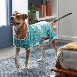 Frisco Teal Floral Dog & Cat Jersey PJs 14 Frisco Teal Floral Dog & Cat Jersey PJs -Dog Supplies 249132 PT5. AC SS1800 V1637725019