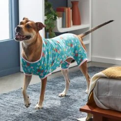 Frisco Teal Floral Dog & Cat Jersey PJs 15 Frisco Teal Floral Dog & Cat Jersey PJs -Dog Supplies 249132 PT7. AC SS1800 V1614376401