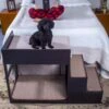 Penn-Plax Buddy Bunk Cat & Dog Bed & Step Set -Dog Supplies 249625 MAIN. AC SS1800 V1695327261