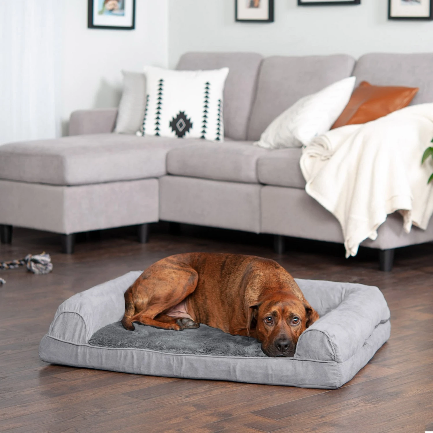 FurHaven Plush & Suede Full Support Orthopedic Sofa Dog & Cat Bed 3 FurHaven Plush & Suede Full Support Orthopedic Sofa Dog & Cat Bed