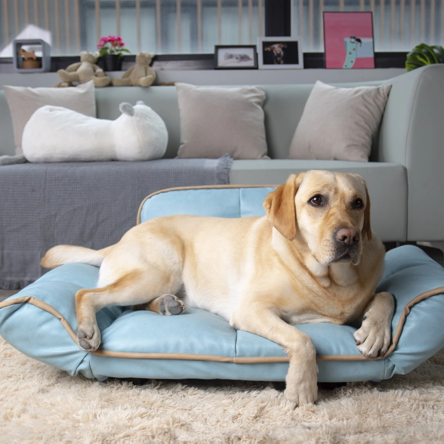 K1 Pet Design Stark Sofa Dog Bed 9 K1 Pet Design Stark Sofa Dog Bed - Image 7