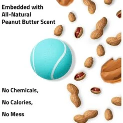 Playology Scented Squeaky Chew Ball Dog Toy 11 Playology Scented Squeaky Chew Ball Dog Toy -Dog Supplies 254272 PT2. AC SS1800 V1697736252