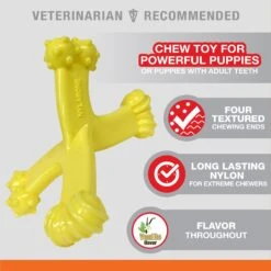 Nylabone Puppy Power Axis Bone Nylon Puppy Chew Toy Vanilla 13 Nylabone Puppy Power Axis Bone Nylon Puppy Chew Toy Vanilla -Dog Supplies 254713 PT2. AC SS1800 V1661179102