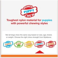 Nylabone Puppy Power Axis Bone Nylon Puppy Chew Toy Vanilla 14 Nylabone Puppy Power Axis Bone Nylon Puppy Chew Toy Vanilla -Dog Supplies 254713 PT3. AC SS1800 V1696516100