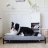 KOPEKS Orthopedic Elevated Bolster Dog Bed With Removable Cover -Dog Supplies 255295 MAIN. AC SS1800 V1602121565