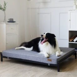 KOPEKS Orthopedic Elevated Bolster Dog Bed With Removable Cover -Dog Supplies 255295 PT4. AC SS1800 V1602124297