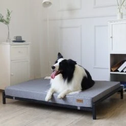 KOPEKS Orthopedic Elevated Bolster Dog Bed With Removable Cover -Dog Supplies 255295 PT5. AC SS1800 V1602119465