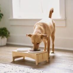 Frisco Ceramic Dog & Cat Double Diner With Elevated Wood Stand -Dog Supplies 256052 PT2. AC SS1800 V1615311142