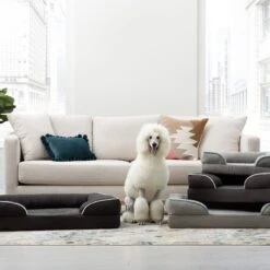 Brindle Orthopedic Bolster Dog & Cat Bed With Removable Cover -Dog Supplies 256164 PT7. AC SS1800 V1602111368