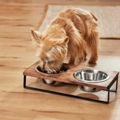 Frisco Wood Elevated Non-Skid Stainless Steel Double Diner Dog & Cat Bowl 11 Frisco Wood Elevated Non-Skid Stainless Steel Double Diner Dog & Cat Bowl -Dog Supplies 257143 PT3. AC SS1800 V1615987292