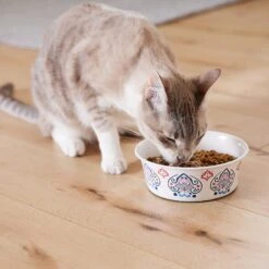 Frisco Bohemian Non-Skid Stainless Steel Dog & Cat Bowl -Dog Supplies 257195 PT7. AC SS1800 V1615989147